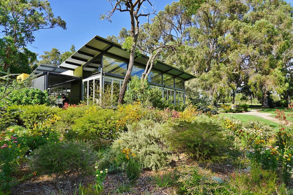 armstone How to Create an Australian Native Landscaped Garden 3